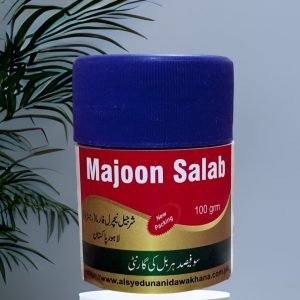 Majoon Salab